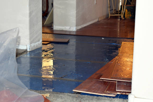 Professional Basement Flood Cleanup technician working in Marne, MI