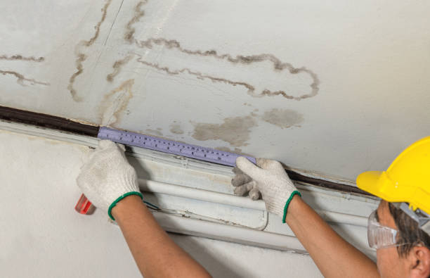 Reliable Basement Flood Cleanup contractor in Marne, MI by Aqua Guard Water Damage